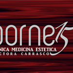 BORNE15 logo copia