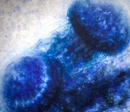 Exposición 'Mèdousa' de Doralice Souza. Polvorí de Ibiza