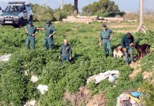busqueda guardia civil