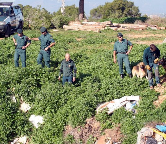 Mallorca, la isla de las desapariciones busqueda guardia civil