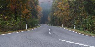 curva carretera