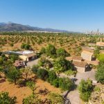 Finca rustica