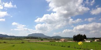 Primavera Mallorca