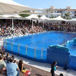 MARINELAND 2