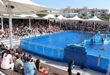marineland 2