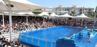 marineland 2