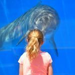 MARINELAND 3