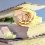 San Jordi 2018