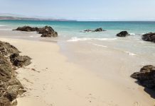 playa posidonia oceanica