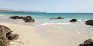 playa posidonia oceanica
