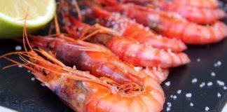 Cocina del mar Tártaro