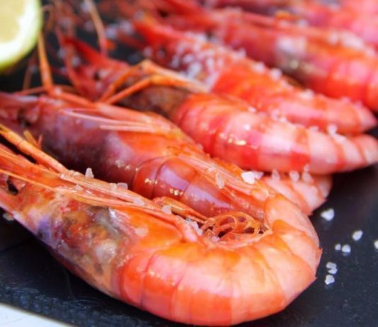 Cocina del mar Tártaro