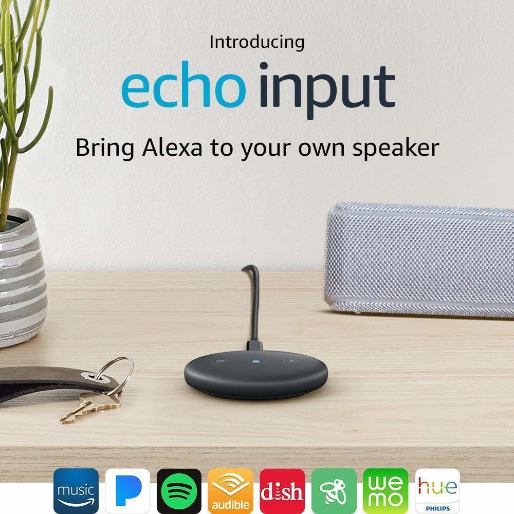 Amazon echo input