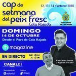 llampuga petit