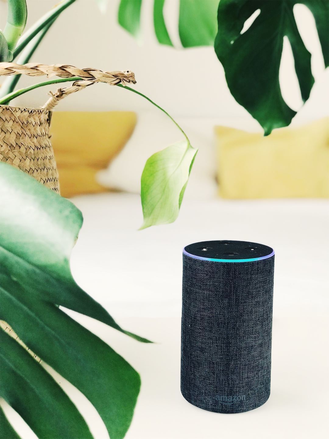 Amazon Echo con Alexa