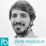ENTRE-MOLECULAS