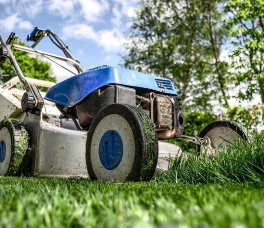 Métodos ecosostenibles para el mantenimiento de jardinería