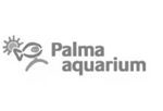 PALMAA