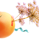 Cabecera.CartaHamacas