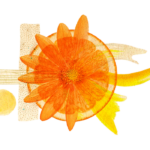 Cabecera_Bebidas_800x350px