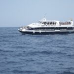 Catamarán-Panorama