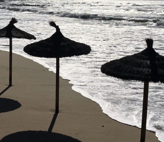 La asociación ADOPUMA denuncia trato desigual en la gestión de las playas de Calvià