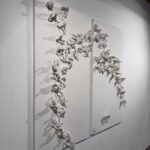 501265199_18497276410040756_1858875145188153865_n