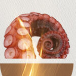 523918232_1322861613177617_2618747999362712292_n