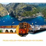 TRENDESOLLER_ADAPTACIONES_ONLINE